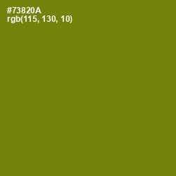 #73820A - Trendy Green Color Image