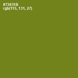 #73831B - Trendy Green Color Image