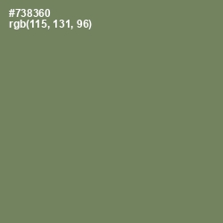 #738360 - Flax Smoke Color Image