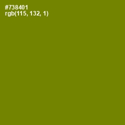 #738401 - Limeade Color Image