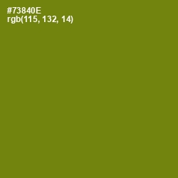 #73840E - Trendy Green Color Image