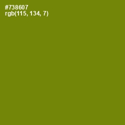 #738607 - Trendy Green Color Image