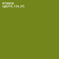 #73861B - Trendy Green Color Image