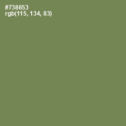 #738653 - Glade Green Color Image