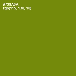 #738A0A - Trendy Green Color Image