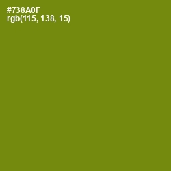 #738A0F - Trendy Green Color Image