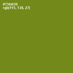 #738A1B - Trendy Green Color Image