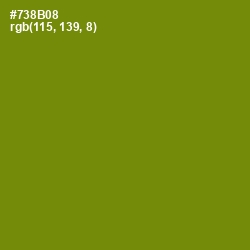 #738B08 - Limeade Color Image