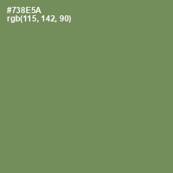 #738E5A - Glade Green Color Image