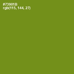 #73901B - Trendy Green Color Image