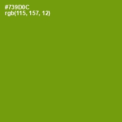 #739D0C - Limeade Color Image