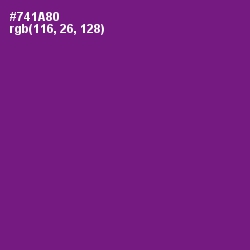 #741A80 - Seance Color Image