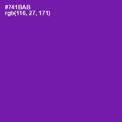 #741BAB - Seance Color Image