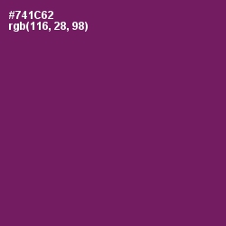 #741C62 - Finn Color Image
