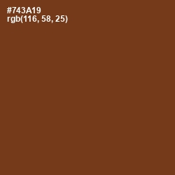 #743A19 - Walnut Color Image