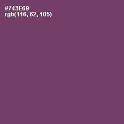 #743E69 - Cosmic Color Image