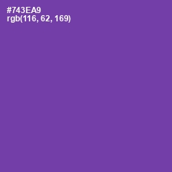 #743EA9 - Royal Purple Color Image