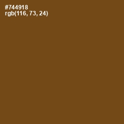 #744918 - Raw Umber Color Image