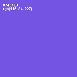 #7454E3 - Blue Marguerite Color Image