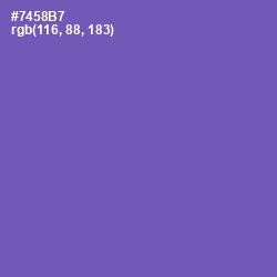#7458B7 - Studio Color Image