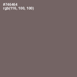 #746464 - Sandstone Color Image