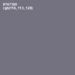 #747180 - Storm Gray Color Image