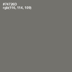 #74726D - Limed Ash Color Image