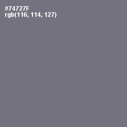 #74727F - Boulder Color Image