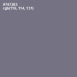 #747283 - Storm Gray Color Image