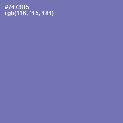 #7473B5 - Deluge Color Image