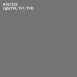 #747576 - Tapa Color Image