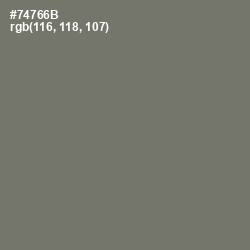 #74766B - Limed Ash Color Image