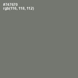 #747670 - Tapa Color Image