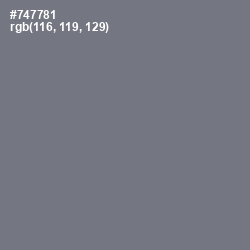 #747781 - Storm Gray Color Image