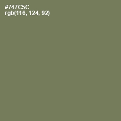 #747C5C - Crocodile Color Image