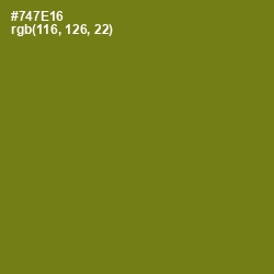 #747E16 - Olivetone Color Image