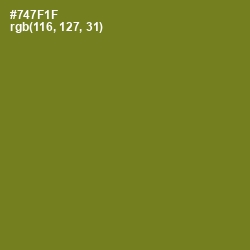 #747F1F - Olivetone Color Image