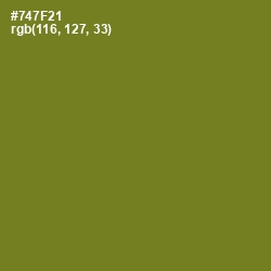 #747F21 - Crete Color Image