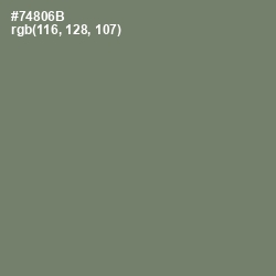 #74806B - Camouflage Green Color Image