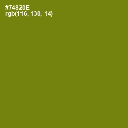 #74820E - Trendy Green Color Image