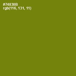 #74830B - Trendy Green Color Image