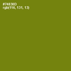 #74830D - Trendy Green Color Image