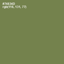 #74834D - Glade Green Color Image
