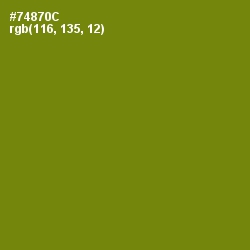 #74870C - Trendy Green Color Image