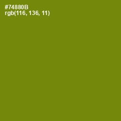 #74880B - Trendy Green Color Image