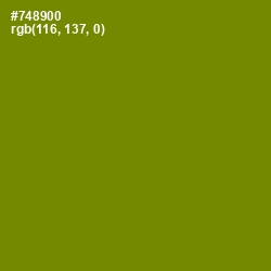 #748900 - Limeade Color Image