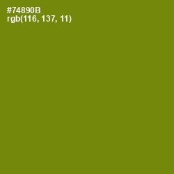 #74890B - Trendy Green Color Image