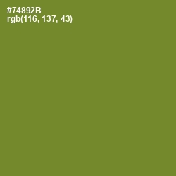 #74892B - Wasabi Color Image