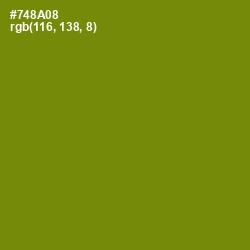#748A08 - Trendy Green Color Image