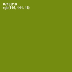 #748D10 - Trendy Green Color Image